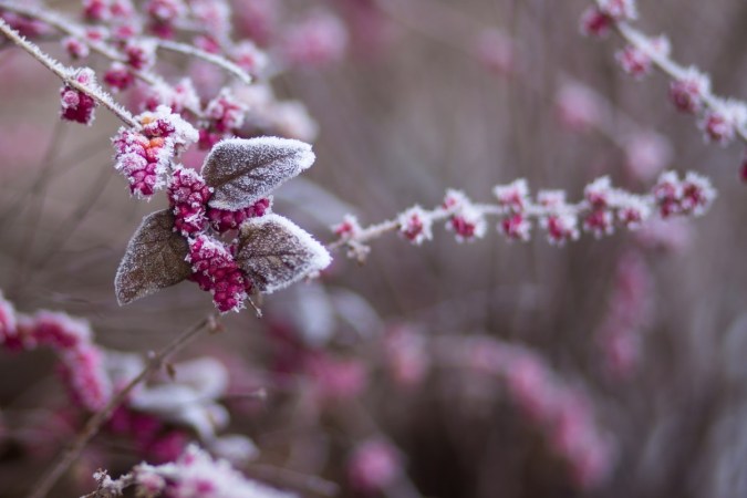 significado solsticio invierno