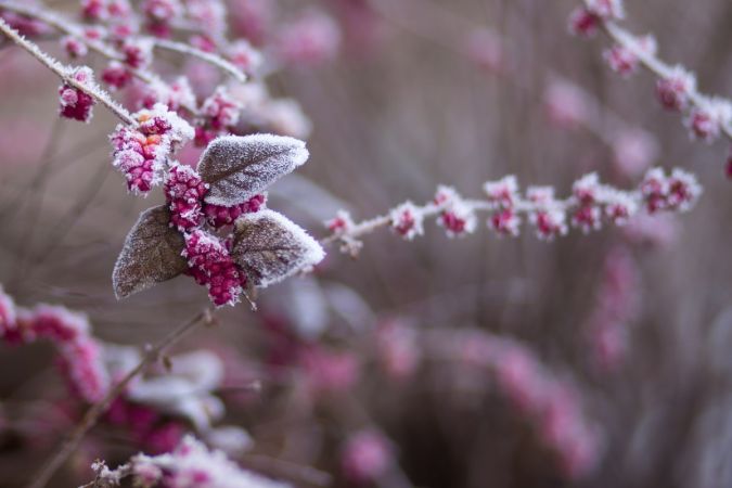 significado solsticio invierno