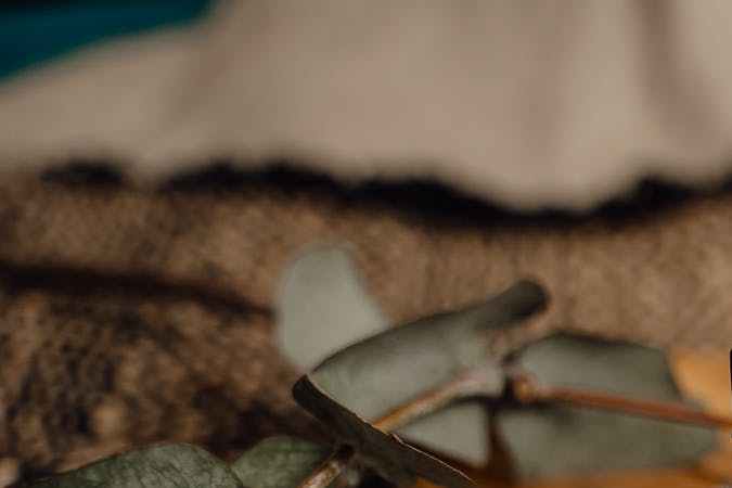 aceites para que crezca el cabello