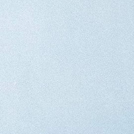 aloe vera para el cabello