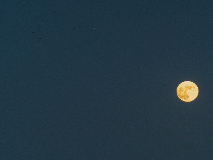 calendario lunar 2022