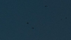 calendario lunar 2022