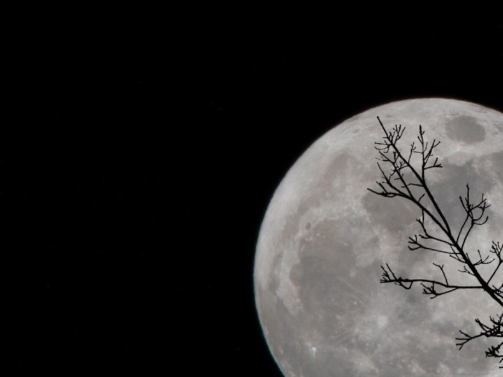 ritual luna llena enero 2022