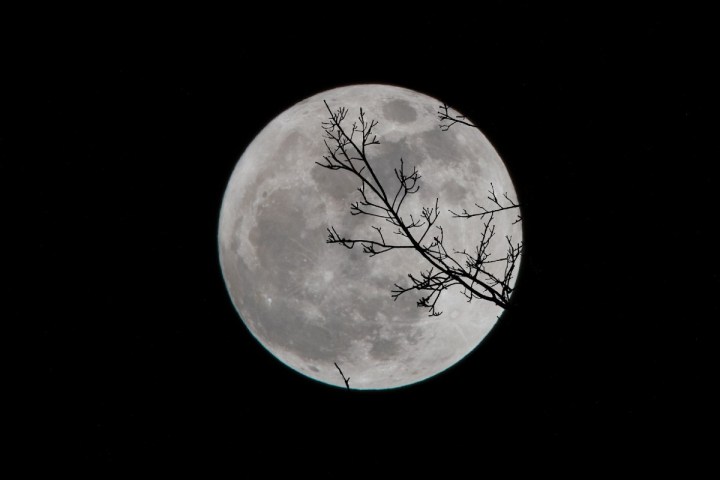 ritual luna llena enero 2022
