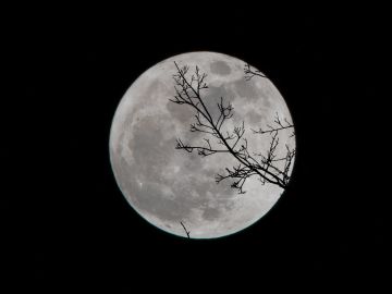 ritual luna llena enero 2022