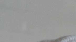 shampoos naturales anticaspa