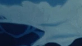 skims for team usa coleccion