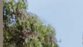 adidas campaña senos sujetadores deportivos