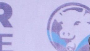 Anglique Boyer mejores bikinis