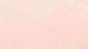 mejores productos en barra para piel del rostro