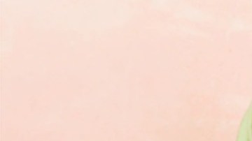 mejores productos en barra para piel del rostro