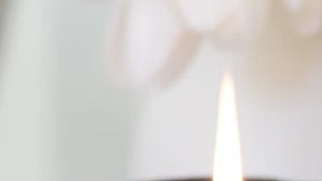 regalos belleza san valentin 2022