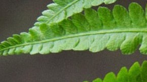 uñas de san valentin 2022