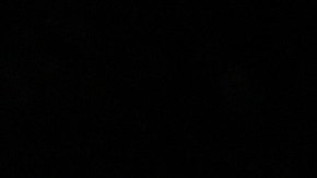 lizzo tatuaje trasero