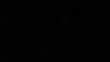 lizzo tatuaje trasero