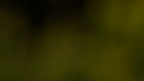 Georgina Rodriguez bikini embarazo