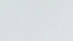 lizzo linea de ropa yitty