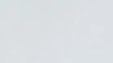 lizzo linea de ropa yitty