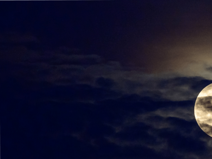 que hacer en la luna llena de gusano 2022