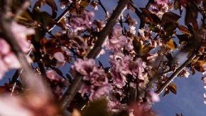rituales equinoccio de primavera
