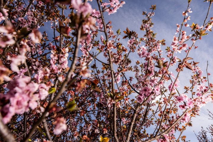 rituales equinoccio de primavera