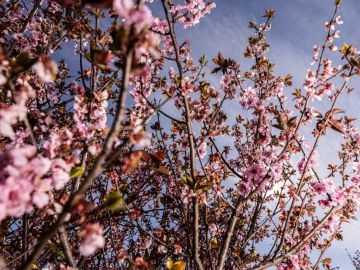 rituales equinoccio de primavera