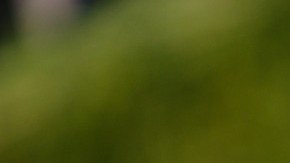 rutina kendall jenner calmar su mente