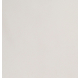 lourdes leon calvin klein