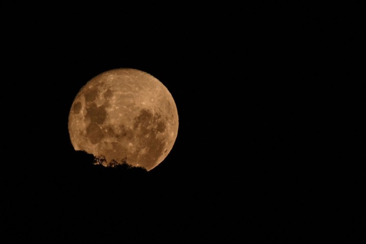 luna rosa de abril 2022 significado
