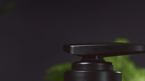 beneficios amla en cabello