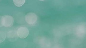 mejores protectores amigables con los arrecifes