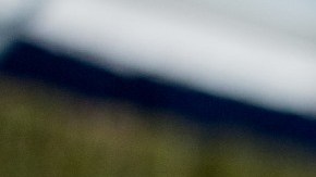 Selena Gomez fleco cuello de botella