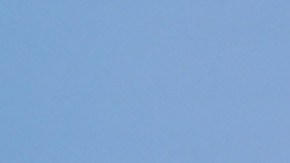 selena gomez harta de criticas hacia su fisico