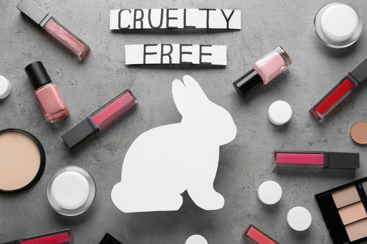 Cruelty free