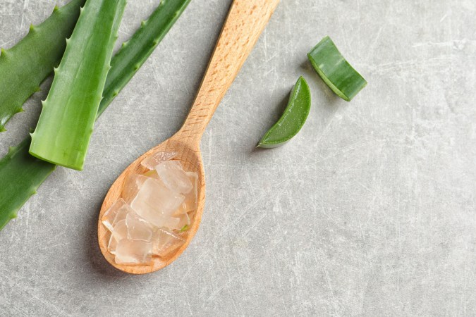 Aloe vera
