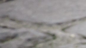 Zapatos de cuero