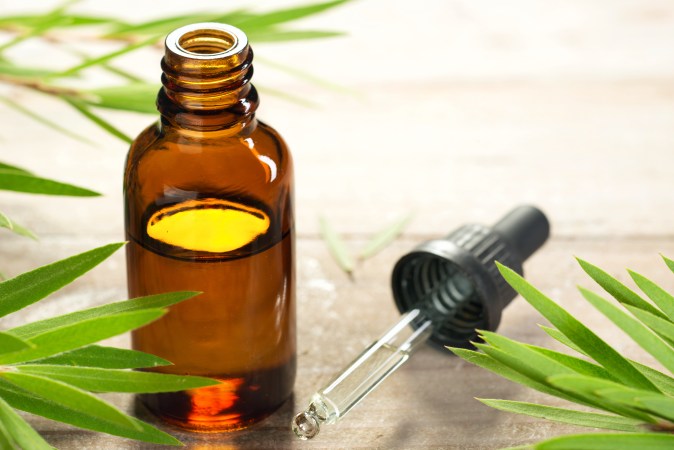 Aceite de árbol de té
