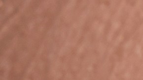 Cejas