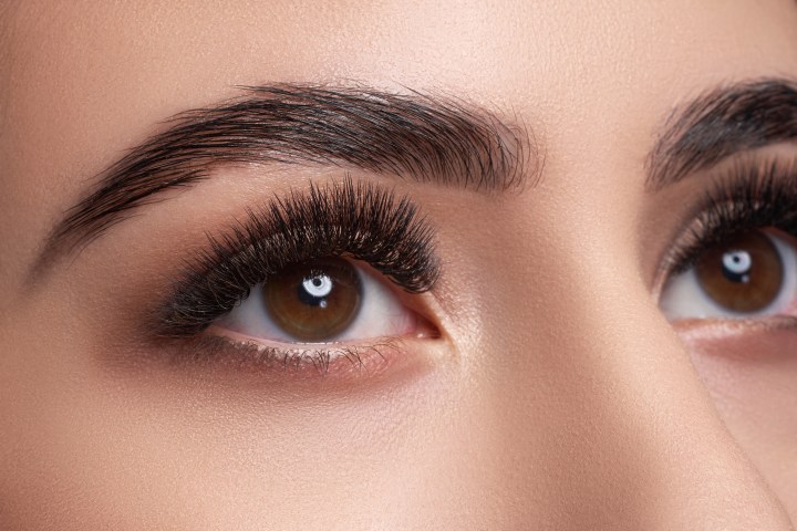 Cejas