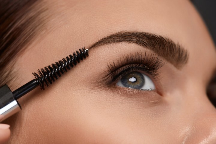 Cejas
