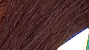 Pedrería en el cabello