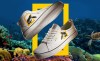 Cariuma x National Geographic