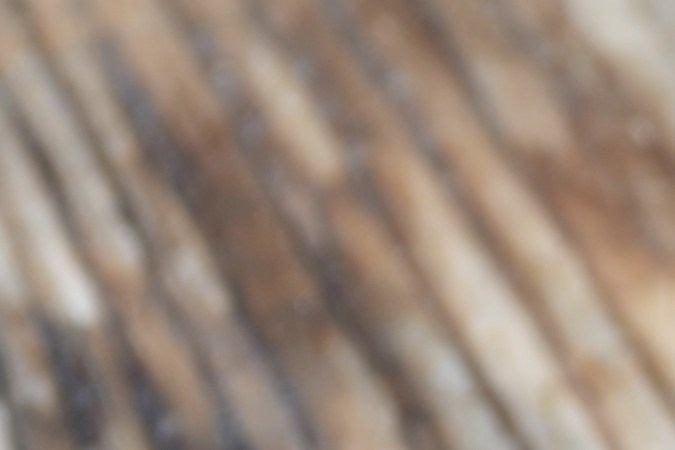 Miel y canela para el acné