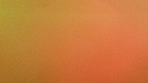 Aloe vera y vitamina E