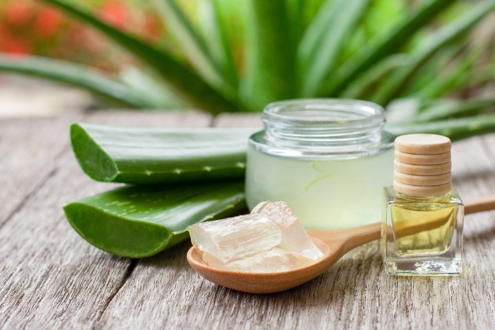 Aloe vera y vitamina E