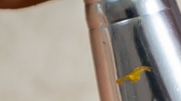 Oro