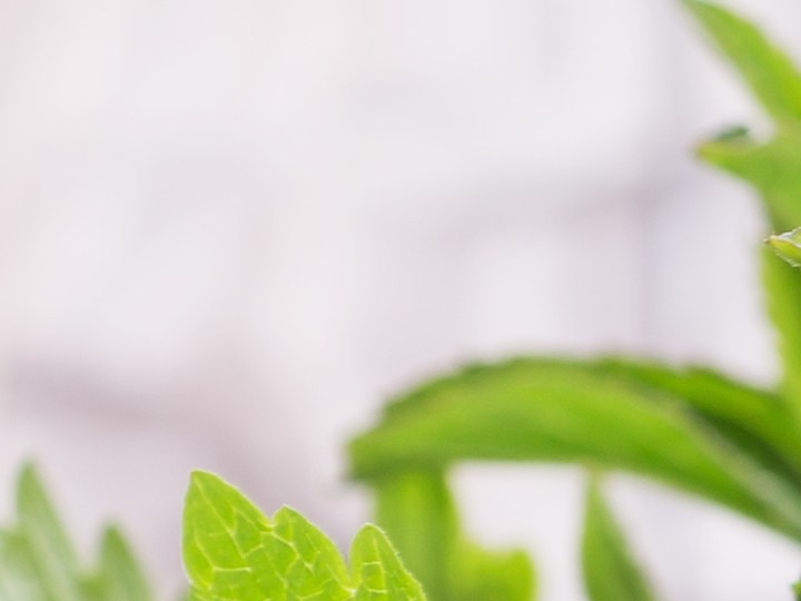 Aceite de menta