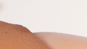 Base de maquillaje