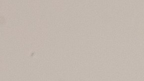 Brochas de maquillaje