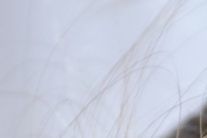Cabello